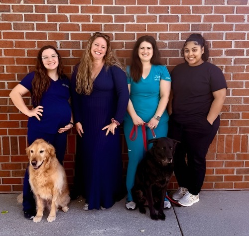 Examination & Diagnosis, Carolina Veterinary Specialists in Greensboro